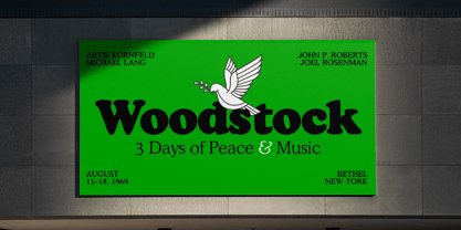 Cooper BT Font Poster 2